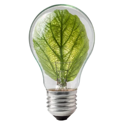 Green Leaf Light Bulb