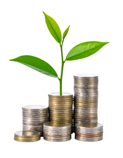 Green Plant Growing Coins