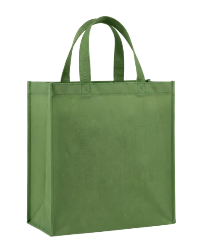 Green Reusable Shopping Bag
