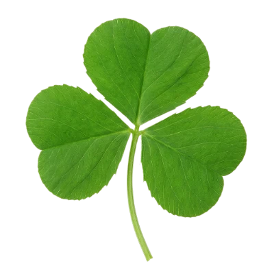 Green Shamrock Leaf