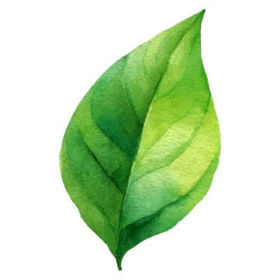 Green Watercolor Leaf