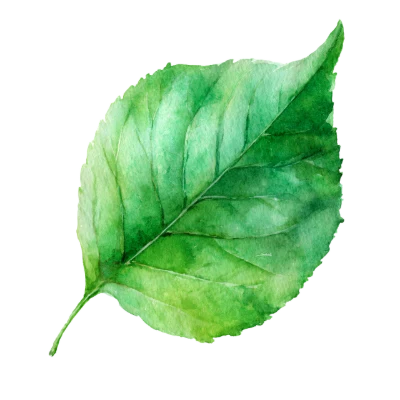 Green Watercolor Leaf