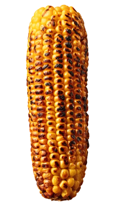 Grilled Corn Cob