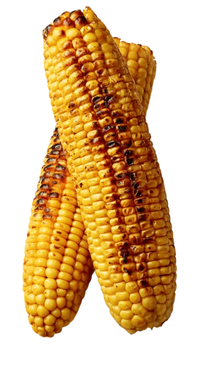 Grilled Corn Cobs
