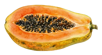 Half Cut Papaya