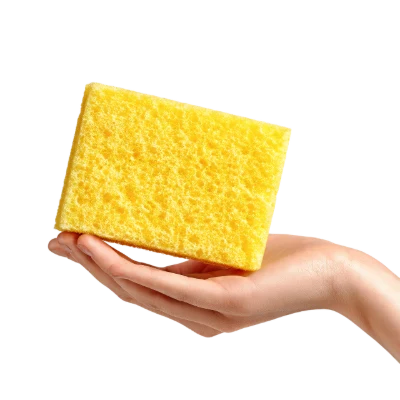 Hand Holding Cleaning Sponge