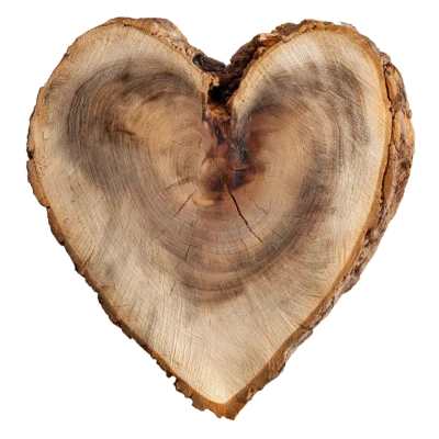 Heart Shaped Wood Slice