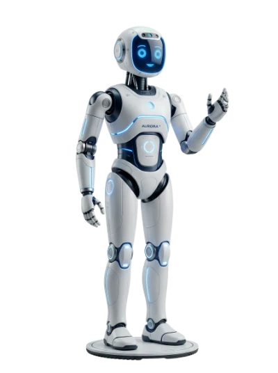 Humanoid Service Robot