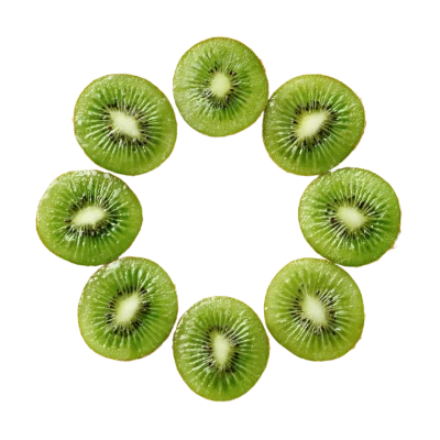 Kiwi Fruit Slices Circle