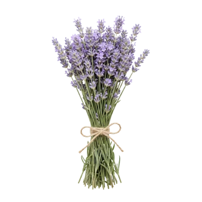 Lavender Flower Bouquet