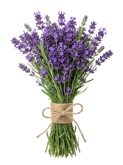 Lavender Flower Bouquet