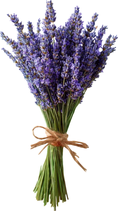 Lavender Flower Bouquet