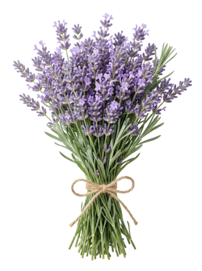 Lavender Flower Bouquet