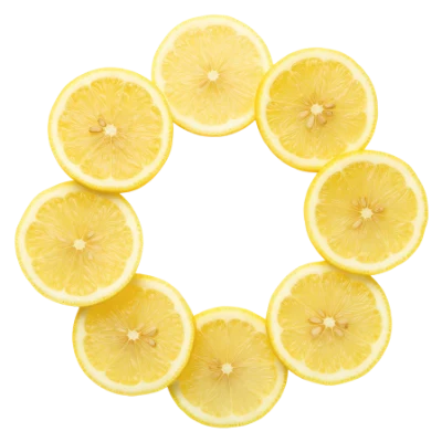 Lemon Slices Circle Frame