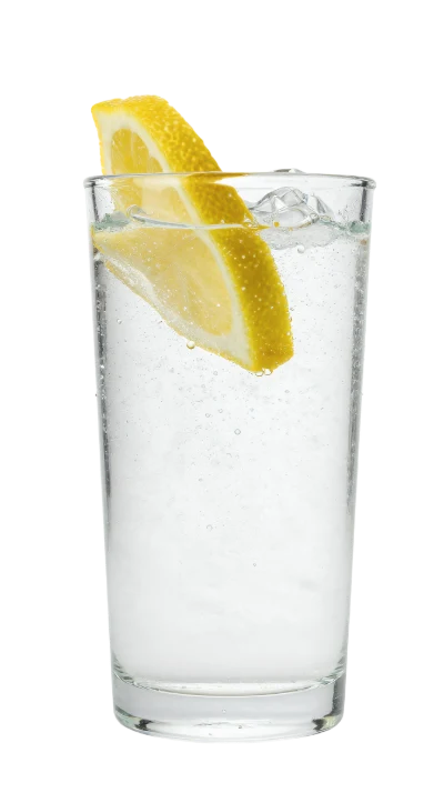 Lemon Sparkling Water