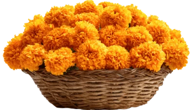 Marigold Flowers In Basket