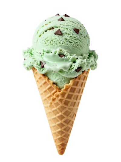 Mint Chocolate Chip Ice Cream