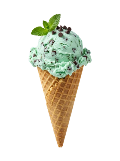 Mint Chocolate Chip Ice Cream