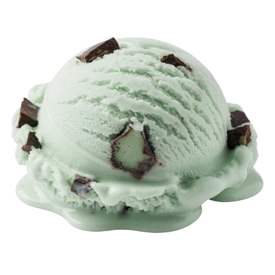 Mint Chocolate Chip Ice Cream