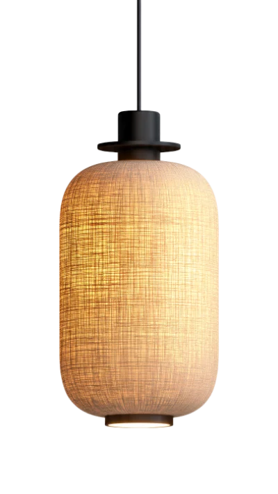 Modern 3D Render Pendant Lamp