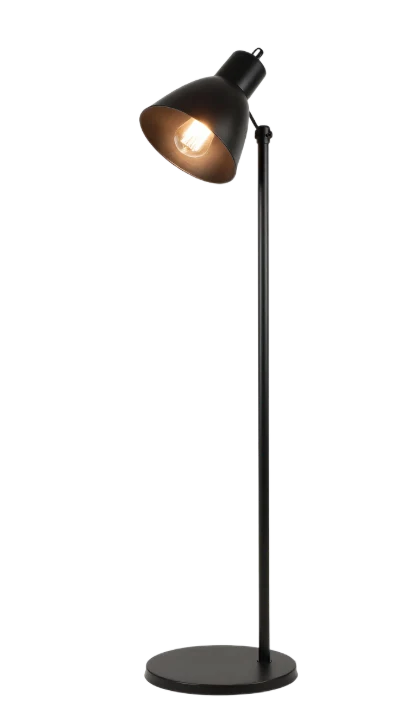 Modern Black Floor Lamp