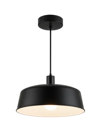 Modern Black Pendant Light
