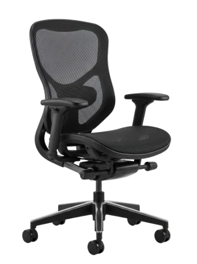 Modern Ergonomic Office Chair