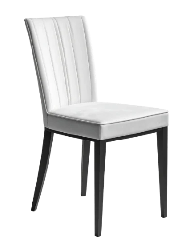 Modern White Dining Chair