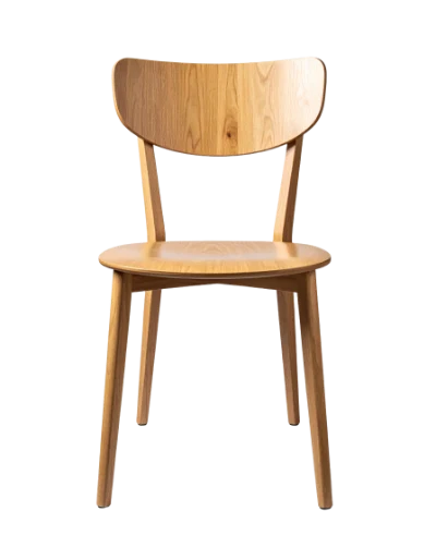 Modern Wooden Dining Chair