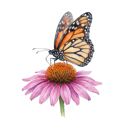 Monarch Butterfly Watercolor Flower