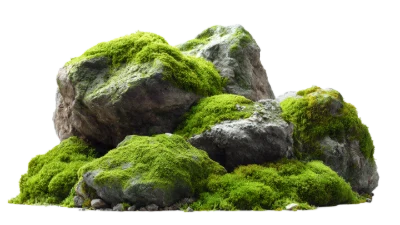Moss Covered Rocks