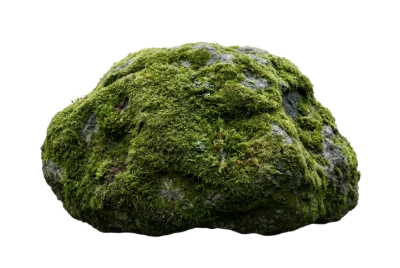 Moss Covered Stone