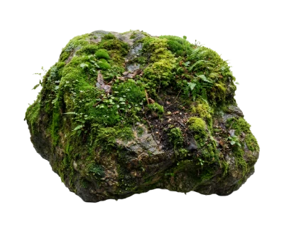 Moss Covered Stone