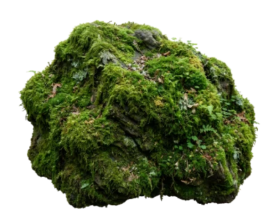 Moss Covered Stone