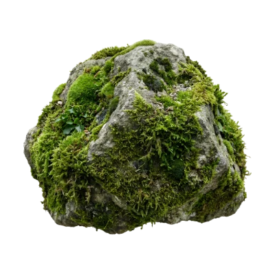 Mossy Stone Rock