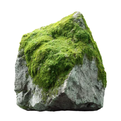 Mossy Stone Rock