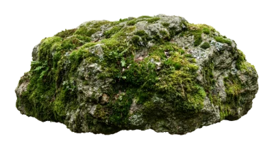 Mossy Stone Rock