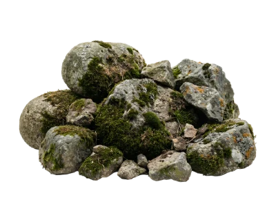 Mossy Stones Pile