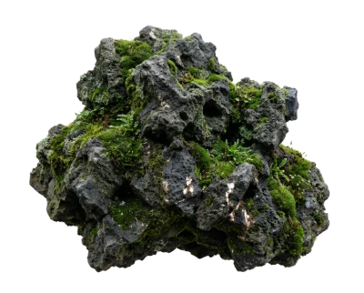 Mossy Volcanic Rock