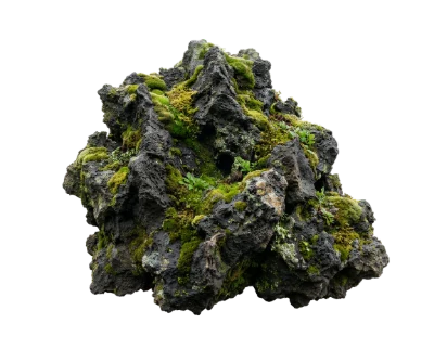Mossy Volcanic Rock