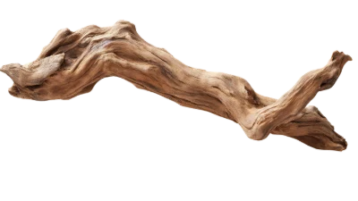 Natural Driftwood Branch