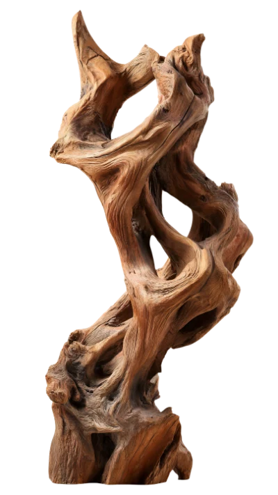Natural Driftwood Sculpture