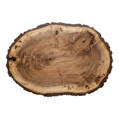 Natural Wood Slice
