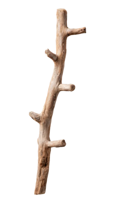Natural Wooden Branch