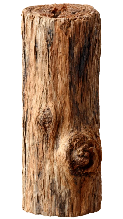 Natural Wooden Log