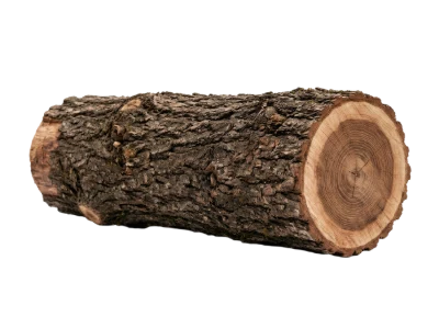 Natural Wooden Log