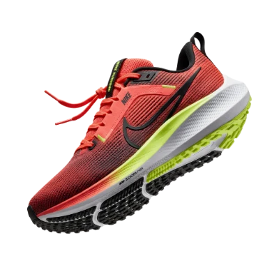 Nike Running Shoe