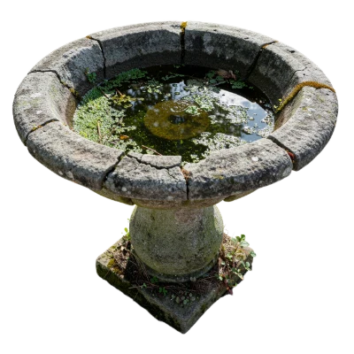 Old Stone Bird Bath