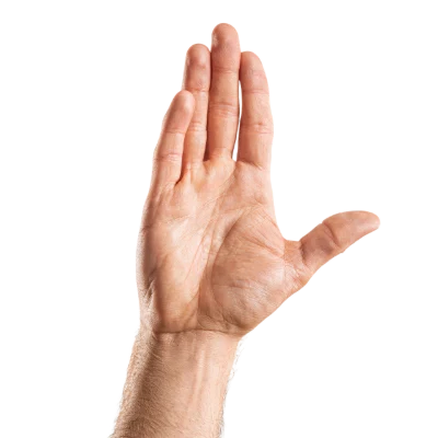 Open Human Hand