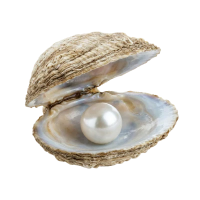 Open Oyster With Pearl